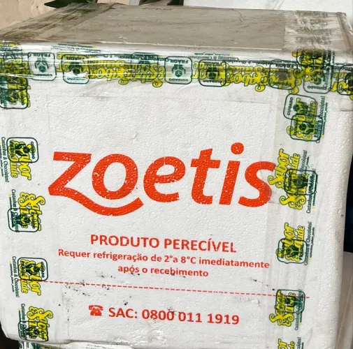 Caixas de isopor e Gelox