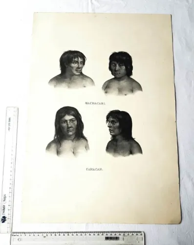 Antiga Rotogravura (Para Emoldurar) - Usado