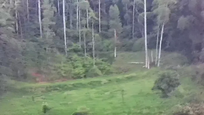 Sítio
