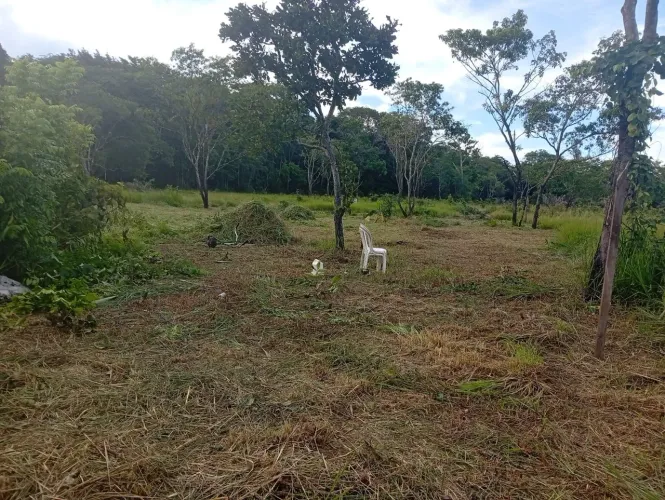 Terreno 