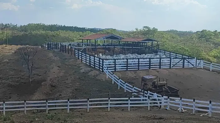 Fazenda 220 alq. Em padre Bernardo Go. 110km de Brasília 65.000 por alqueires