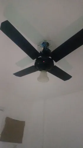 Show ventiladores 