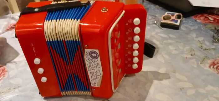SANFONA Infantil Vermelho - Brinquedo Musical