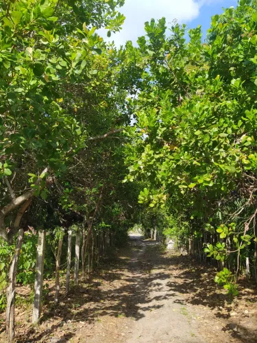 Terreno na zona Rural Sudeste de Teresina 