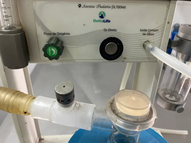 Aparelho veterinário DL700 Delta Life
