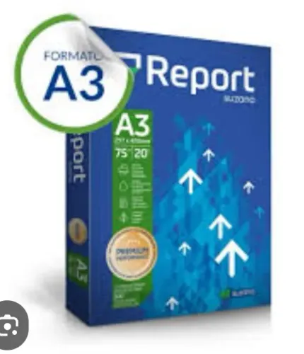 PAPEL A3 (RESMA E CAIXA)