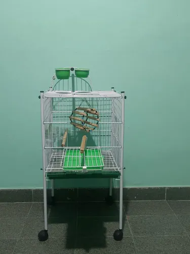 Viveiro de pássaros 