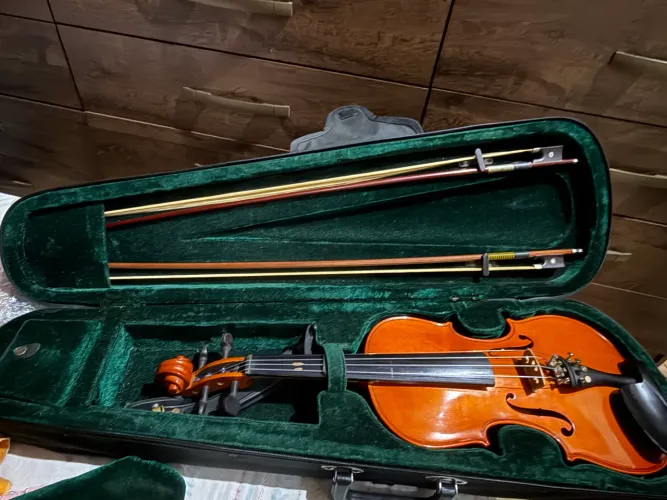 Violino