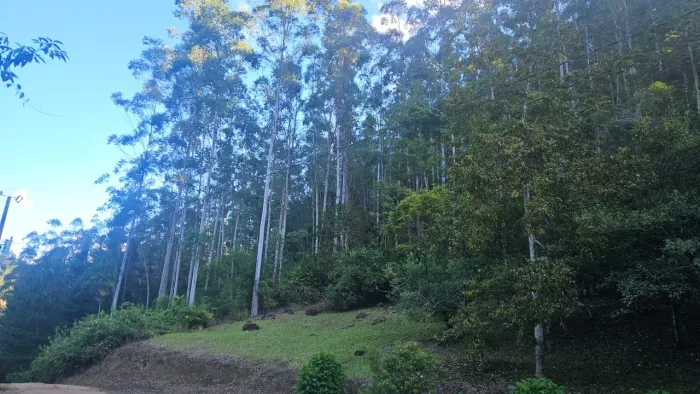 Vendo area de sítio em São Martinho-SC
