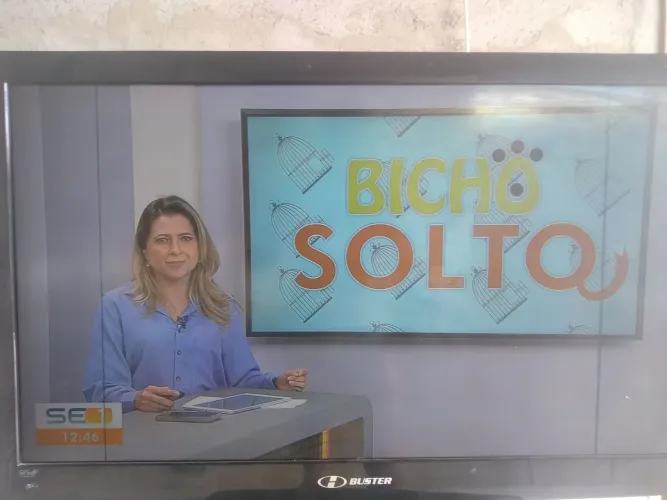 TV Buster 42 polegadas NÃO é Smart