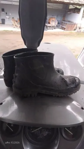 Botas de borracha 