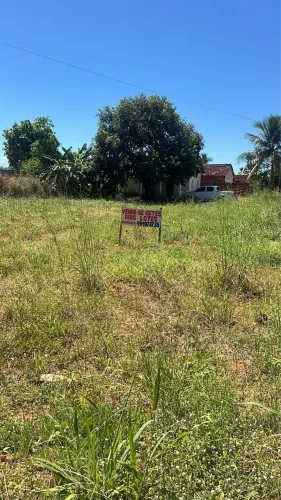 Vendo lotes