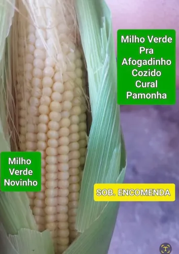 MILHO VERDE ( PROMOÇÃO)