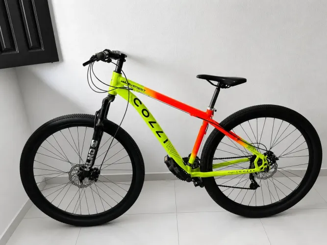 Bike aro 29