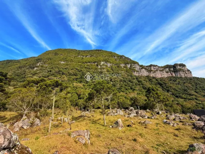 Terreno Escriturado de 7.235 m² na Serra da Tartaruga Oportunidade Exclusiva para Investid