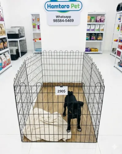 Cercadinho para cachorro , a pronta entrega !