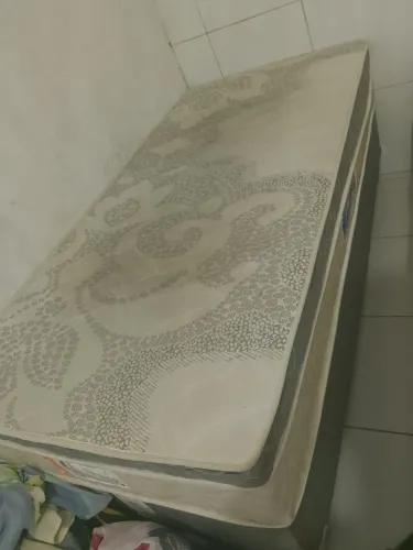 Cama