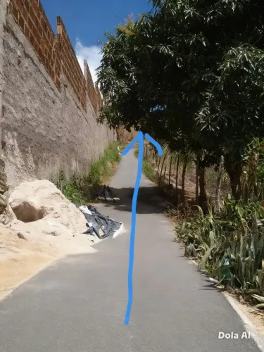 Vendas pra vender rápido