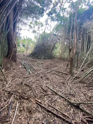 Alugo terreno união e indústria próximo ao liceu de Itaipava