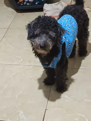 Doação