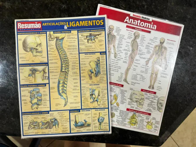 Resumão Medicina - Anatomia, articulações e ligamentos