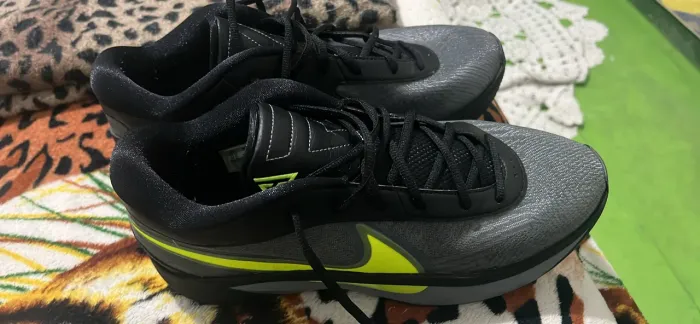 Zoom freak 6