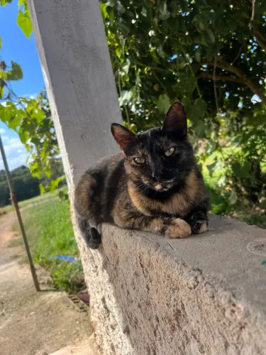 Doação