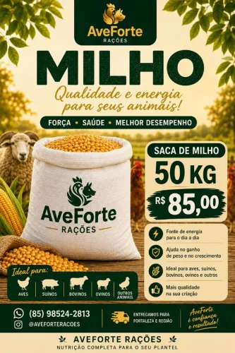 Saca de Milho