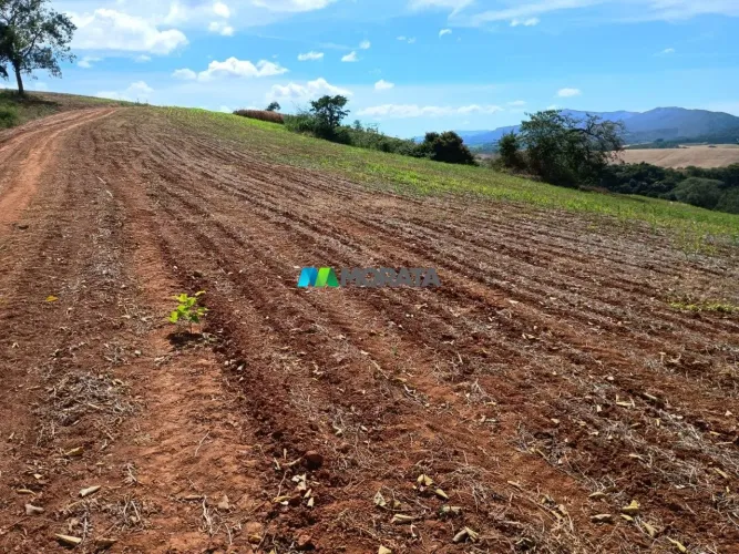 FAZENDA À VENDA - 106 HECTARES - TRÊS CORAÇÕES (MG)
