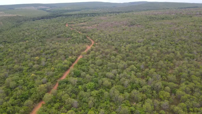 Fazenda com Dupla Aptidão à Venda em Miracema do Tocantins  TO | 242 Alqueires a 60 km de 
