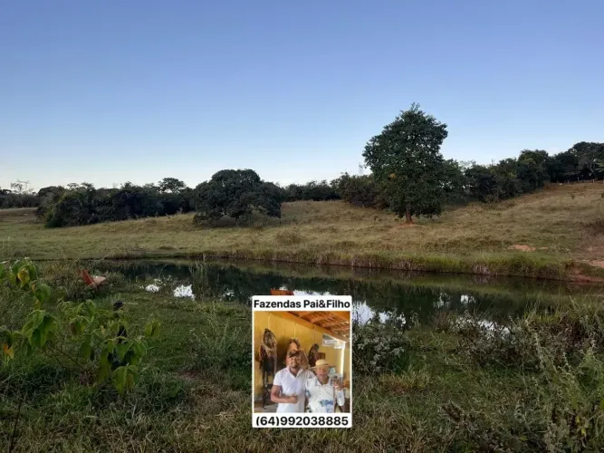 4 alqueires, tanque de peixe, piscina, córrego 3 casas curral.