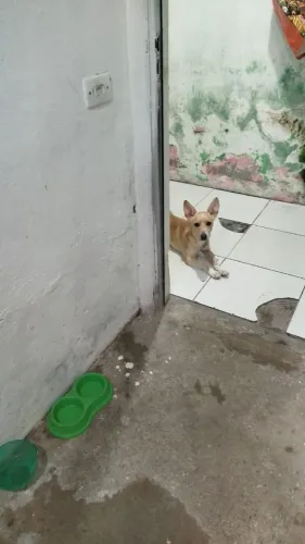 Doação