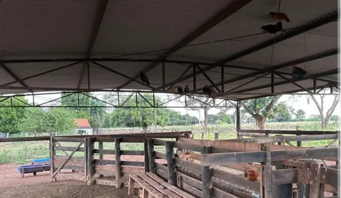 Sítio à venda em Nova Canaã Paulista -SP