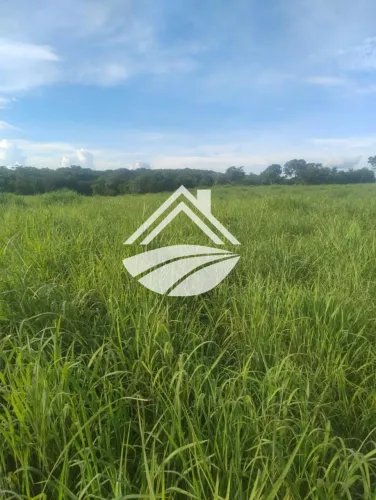 Fazenda para Venda em Figueirópolis, ampla expansão agropecuária