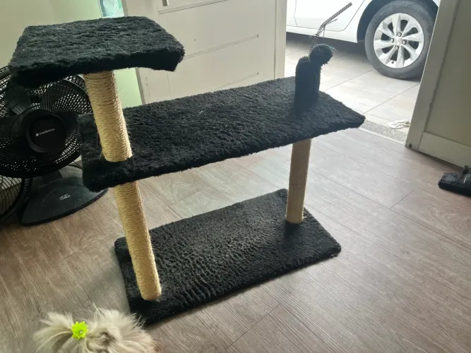Arranhador para gato