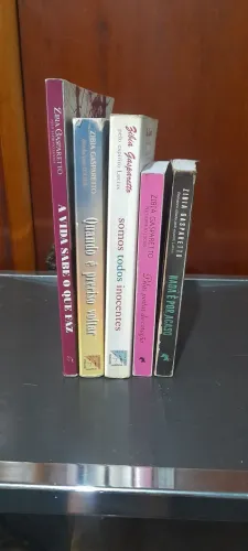 Livros Zibia Gasparetto (Lote c/5)