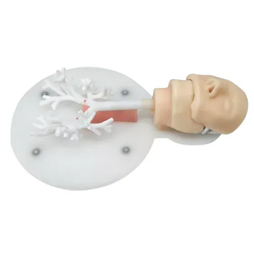 Simulador Brônquio Flexível Completo