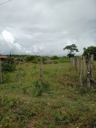 LOTE NA COLÔNIA DE PIUM