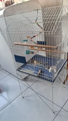 GAIOLA PARA PÁSSAROS NOVA 