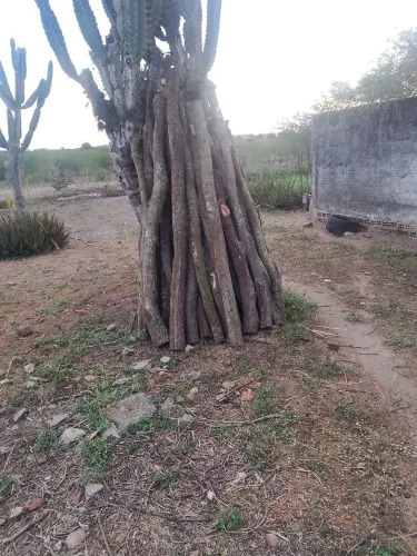 Estacas