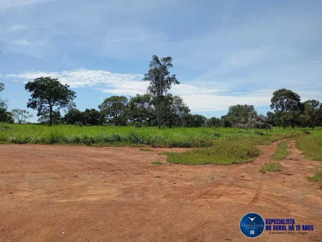 Fazenda à Venda em Jussara, Goiás 60 Alqueires Dupla Aptidão