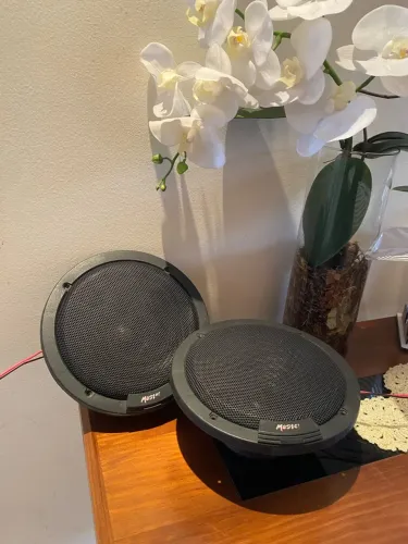 Auto-falante subwoofers Novik Master 360W de 10?