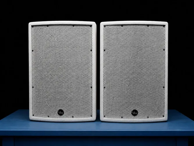 Caixa Ativa e Passiva 12' 500w.
