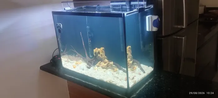 Aquário completo 50 litros
