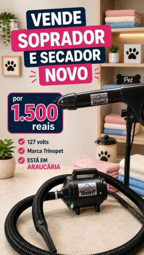Secador e soprador para cachorro