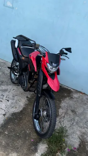 Somente um dono
