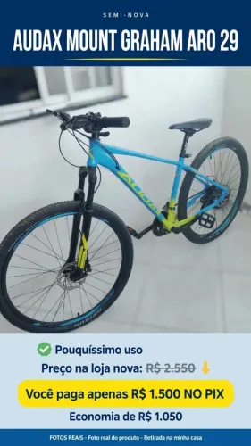 Bicicleta Audax
