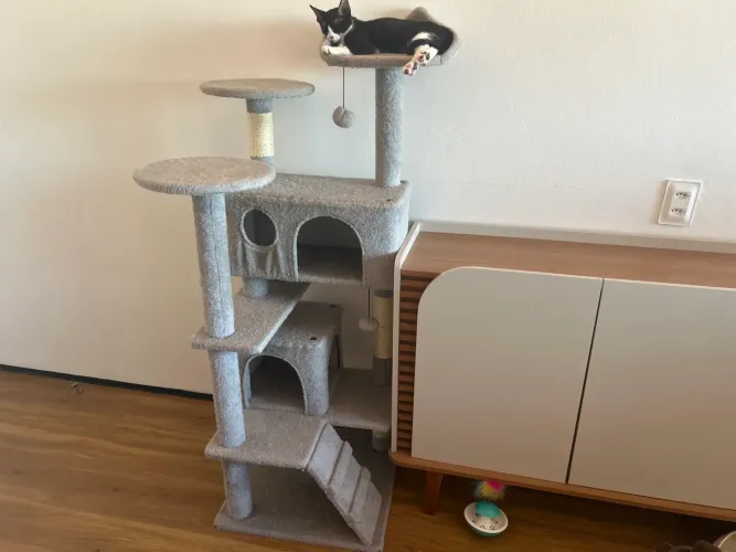 Castelo Playground para gatos