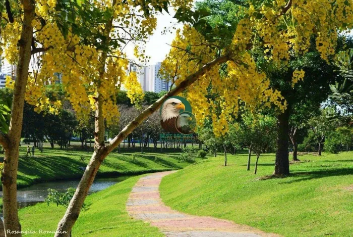 Oportunidade única! Terreno com 1.000,00 m2 de área disponível para venda!