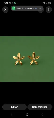 Brincos
